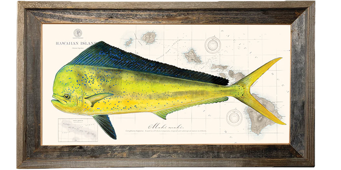Mahi