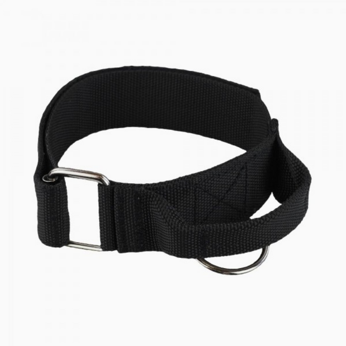 Close-up of RADDOG heavy duty tactical dog collar showing black nylon strap, reinforced stitching, metal buckle, and D-ring for leash attachment.