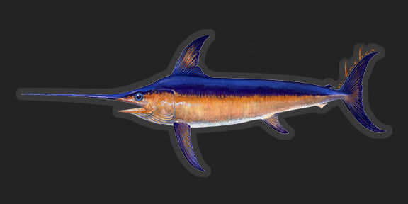 Swordfish - 8.5"
