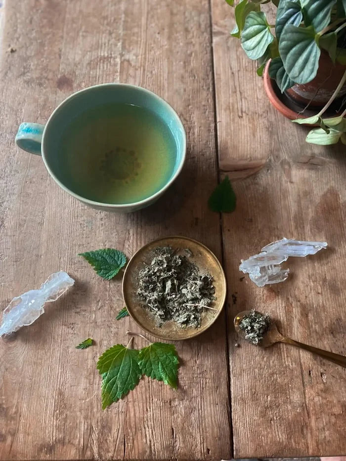 Womb Tea | Nourish + Empower