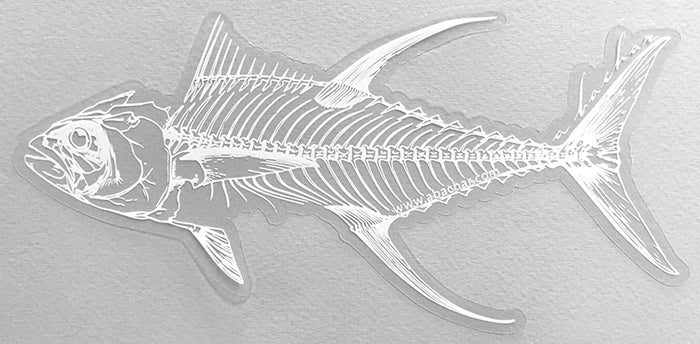 Yellowfin Skeleton - 8"