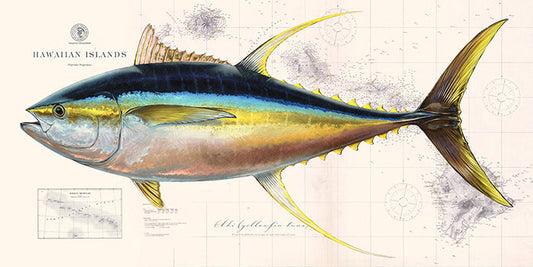 Ahi