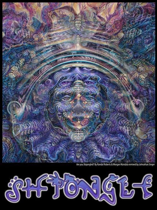 "Are you Shpongled?" Remix Set