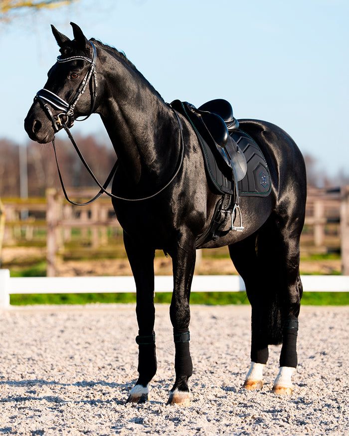 Black Opal Bandages