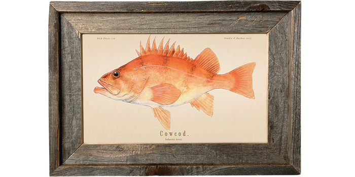 Cowcod