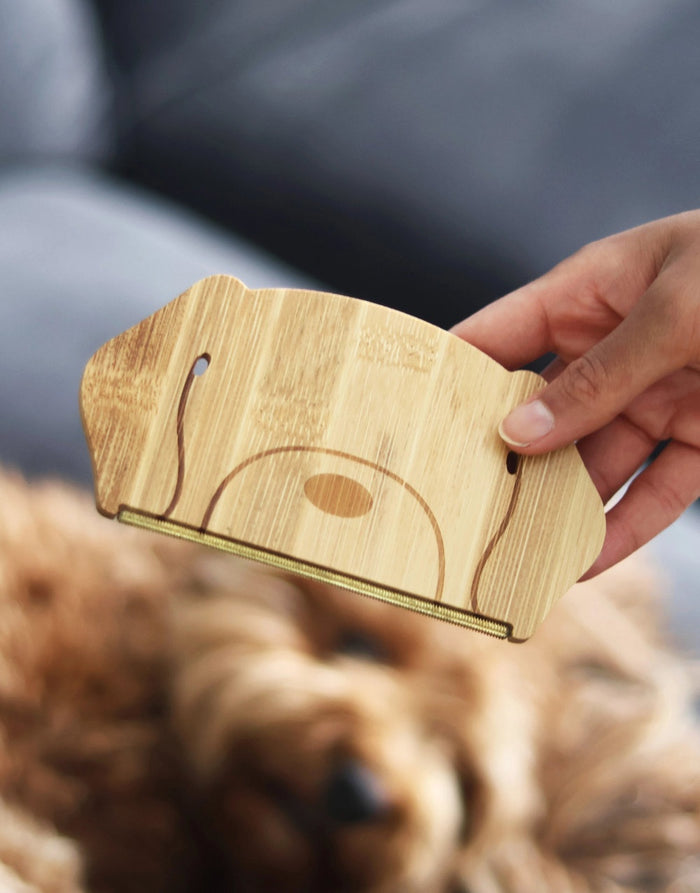 Dog Hair Remover, Pikki