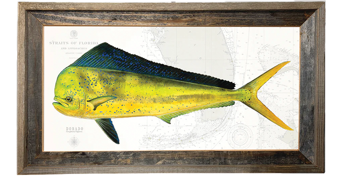 Dorado