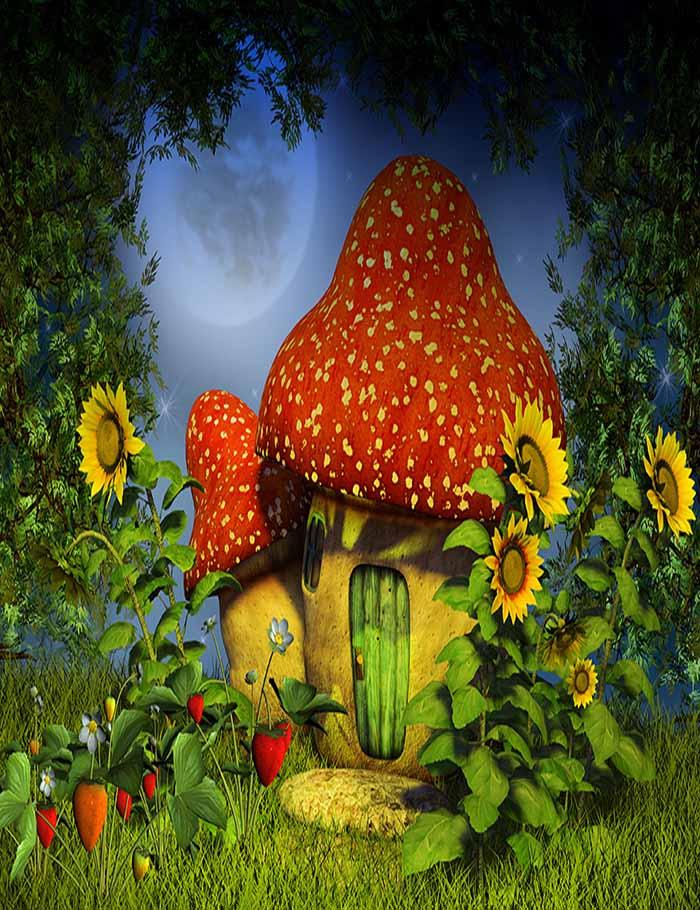 Forest Night With Magic Mushroom House Photography Backdrop J-0465 Shopbackdrop