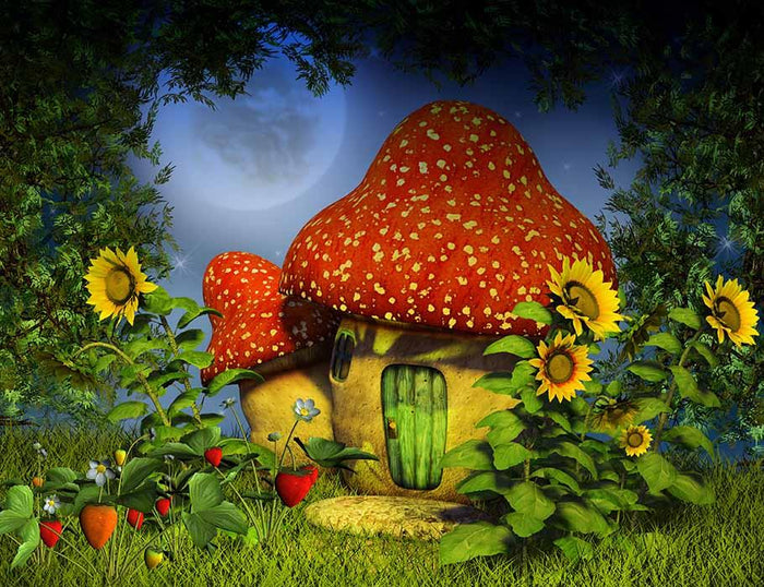 Forest Night With Magic Mushroom House Photography Backdrop J-0465 Shopbackdrop