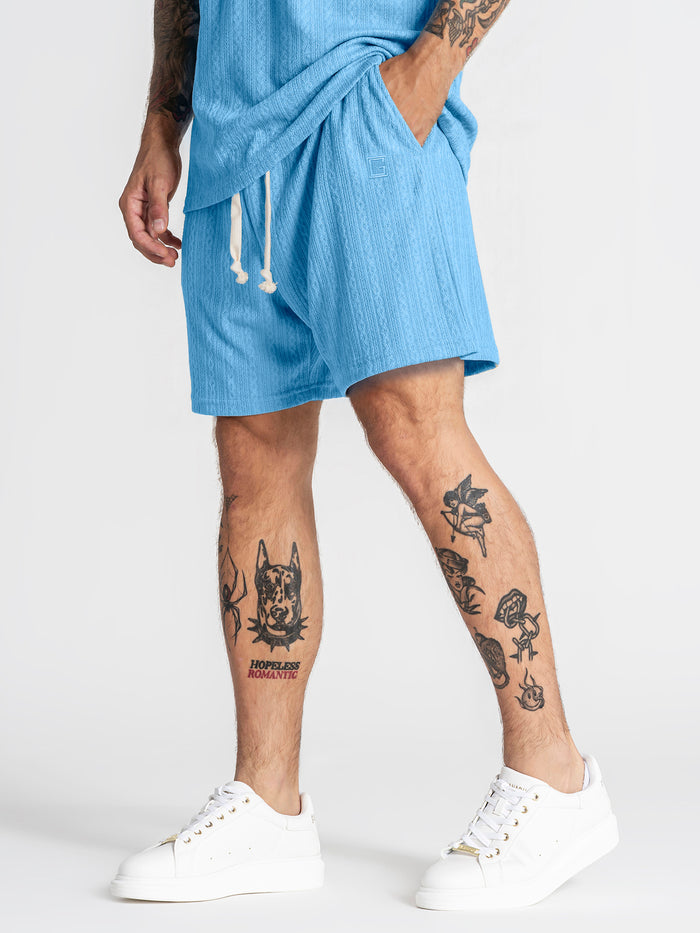 shorts / Light Blue Texture Shorts