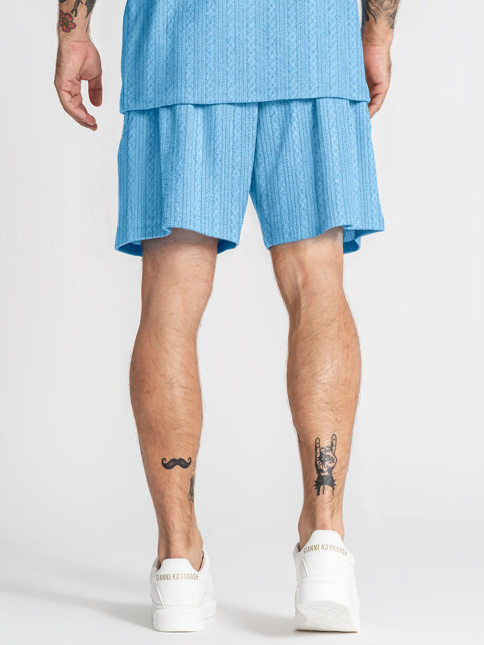 shorts / Light Blue Texture Shorts