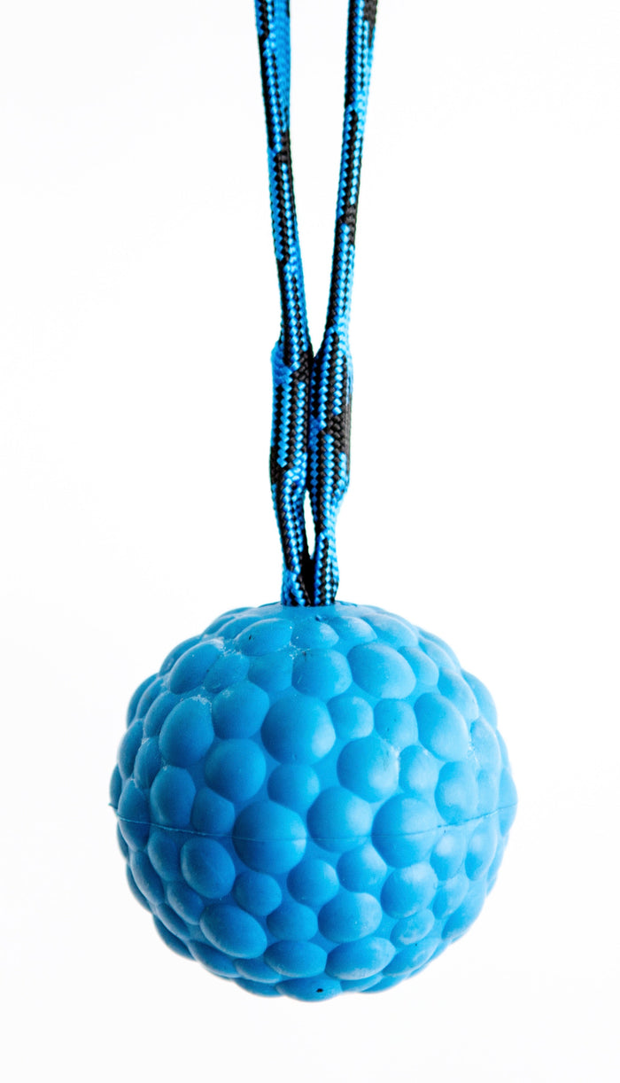 Blue textured rubber ball on a rope handle, designed for dog training, retrieval, and interactive play.