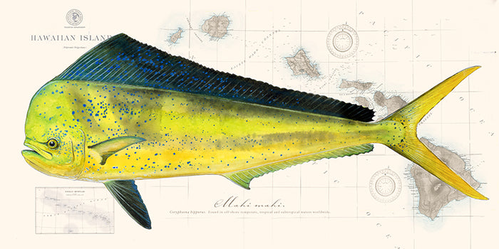 Mahi