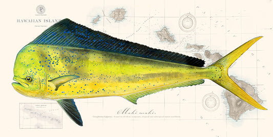 Mahi
