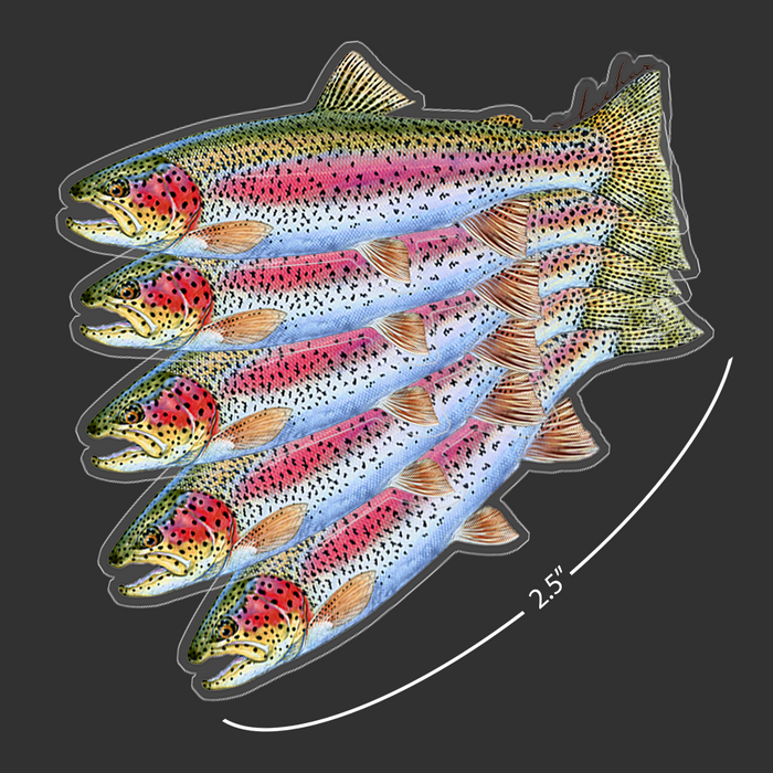 Mini Rainbow Trout Stickers (Pack of 5)