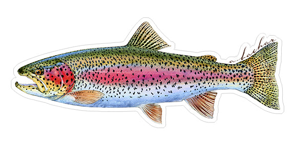 Mini Rainbow Trout Stickers (Pack of 5)