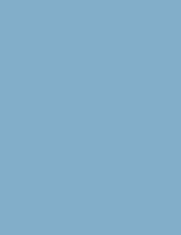 Printed Pale Blue Solid Fabric Background For Backdrop Shopbackdrop
