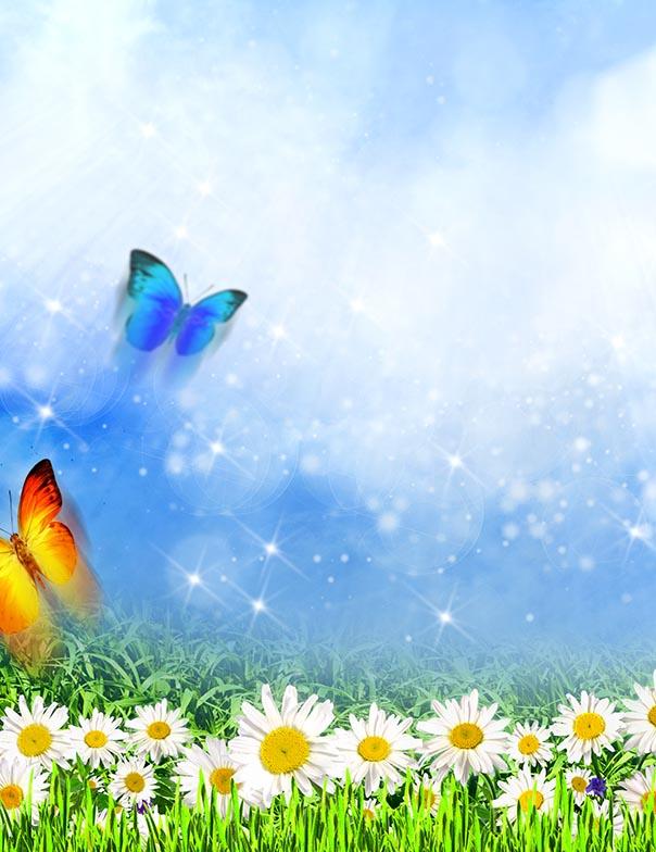 Printed White Flower With Batterfly In Blue Sky Photography Backdrop J-0455 Shopbackdrop