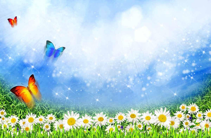 Printed White Flower With Batterfly In Blue Sky Photography Backdrop J-0455 Shopbackdrop