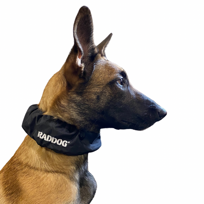 Black RADDOG dog training collar cover in water-resistant black fabric with the white RADDOG logo, shown worn around a dog's neck to discreetly cover a training collar.
