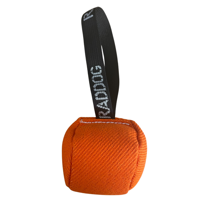 Loop / Orange