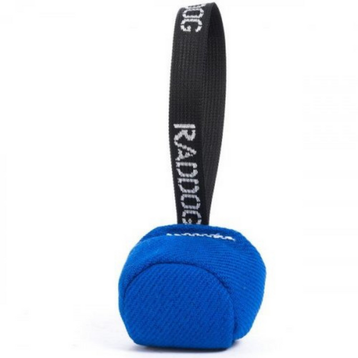 Blue fabric-covered weighted ball with a black strap handle labeled “RADDOG,”