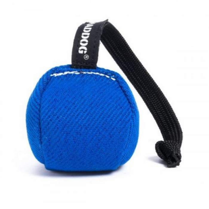 Blue fabric training ball with visible stitching, attached to a black rope handle and strap labeled “RADDOG,”