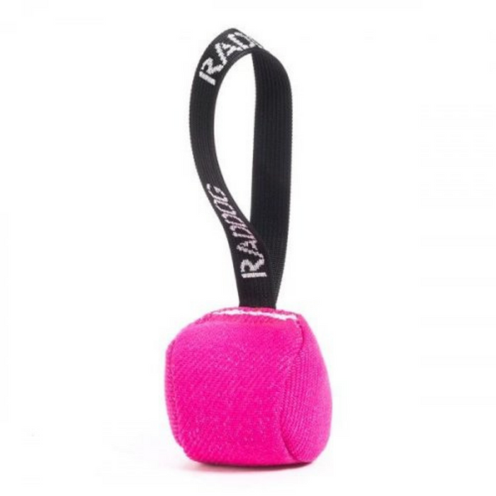 Bright pink fabric training ball with stitched seams and a black loop handle labeled “RADDOG,”