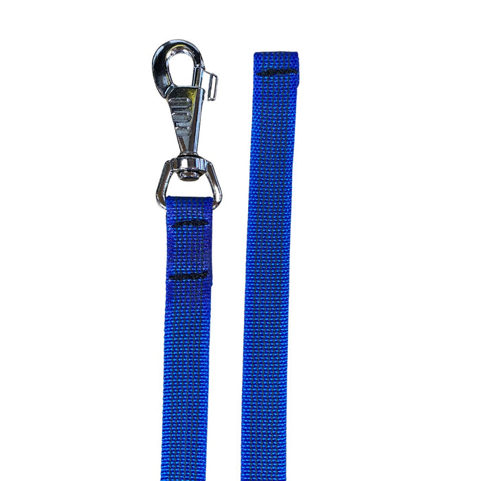 Close-up of a blue dog leash with black stitching, featuring a durable woven strap and a shiny metal clasp attachment, isolated on a light background.