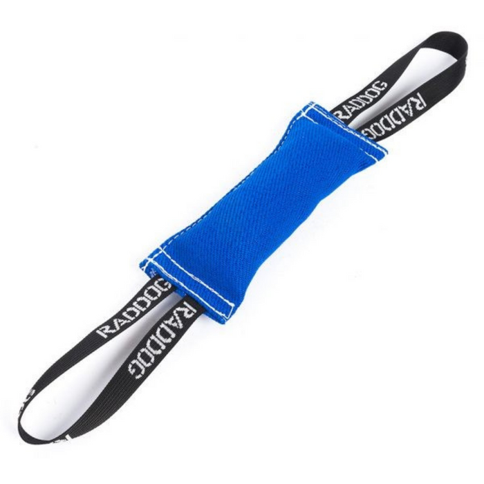 Blue dog training tug toy made of durable fabric with white stitching and two black loop handles labeled “RADDOG,” isolated on a white background.