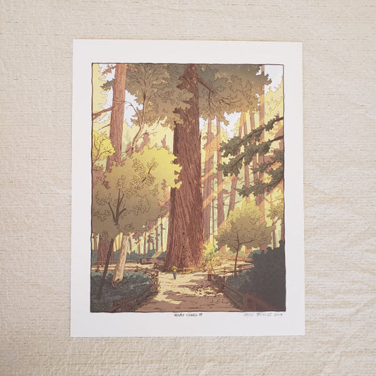 Santa Cruz Redwoods Print by Michael Bencze
