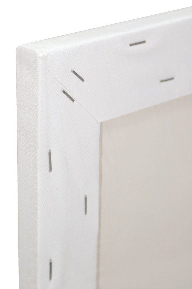 Single Thick Canvas Premium 50.8 x 71.1cm (20 x 28in)