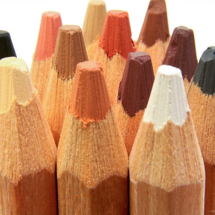 Skin Tints Pastel Pencils Signature 12pc
