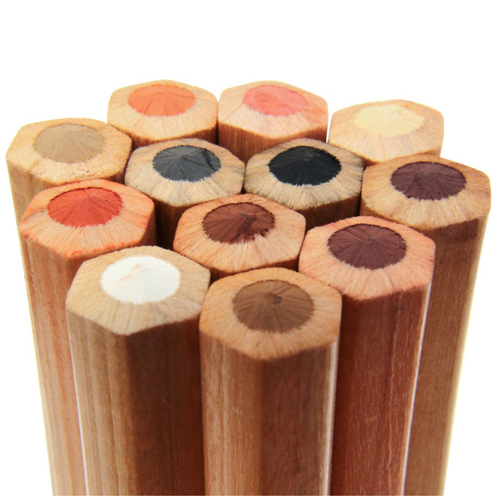 Skin Tints Pastel Pencils Signature 12pc