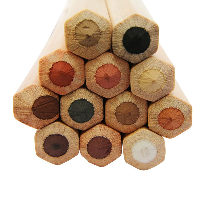 Skin Tints Pastel Pencils Signature 12pc