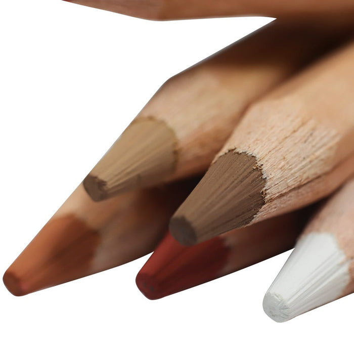 Skin Tints Pastel Pencils Signature 12pc