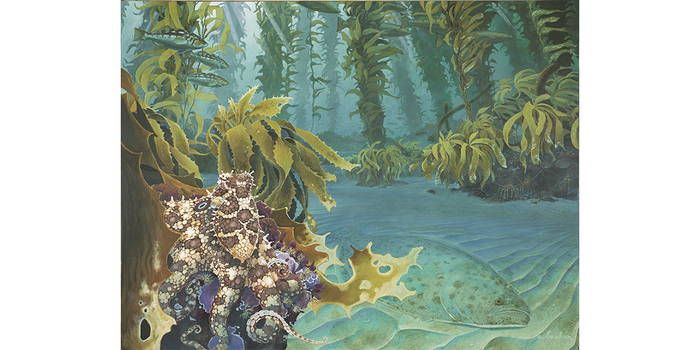 So-Cal Kelp Forest