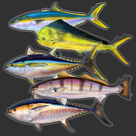 So-Cal sticker combo pack #1 (SP)