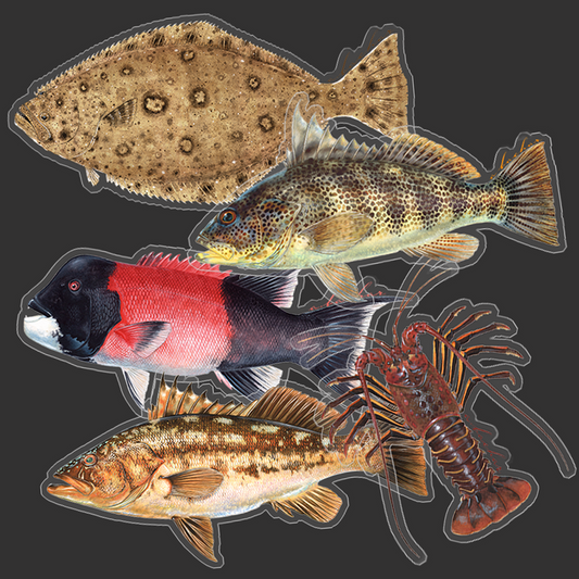 So-Cal sticker combo pack #2 (SP)