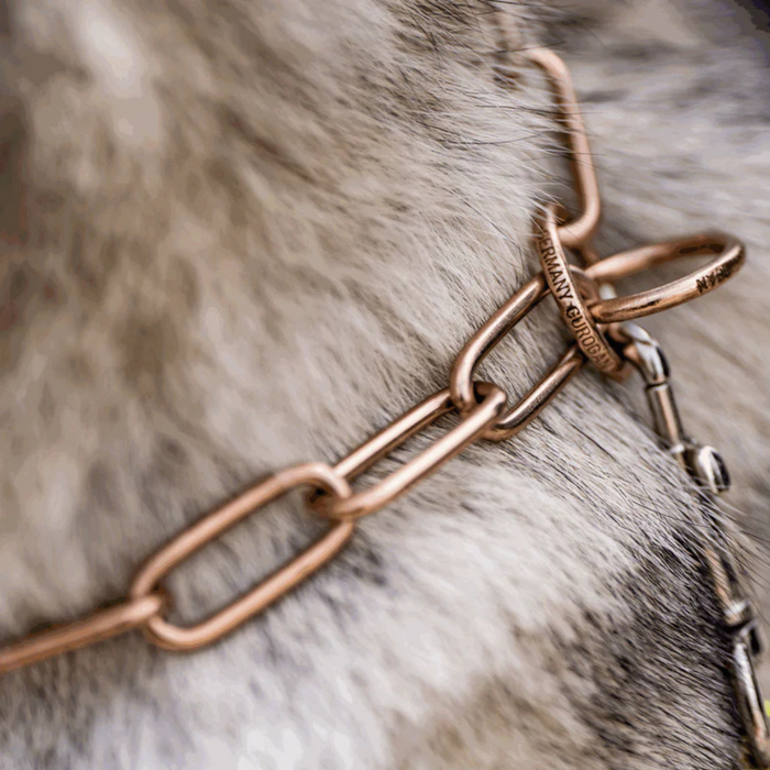 Close-up of a dog’s fur with a rose gold–tone chain collar and leash attachment, highlighting the metal links and engraved connector detail.