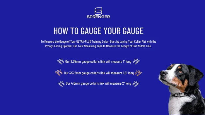 Blue instructional graphic from Sprenger titled “How to Gauge Your Gauge,” showing how to measure prong collar link sizes (2.25mm, 3/3.2mm, 4.0mm) with a dog pictured on the right.