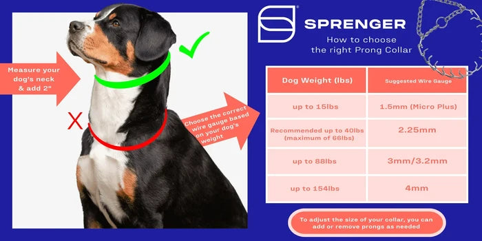 Sprenger prong collar sizing guide showing correct neck placement on a dog, measurement instructions, and a chart of recommended collar gauges based on dog weight.