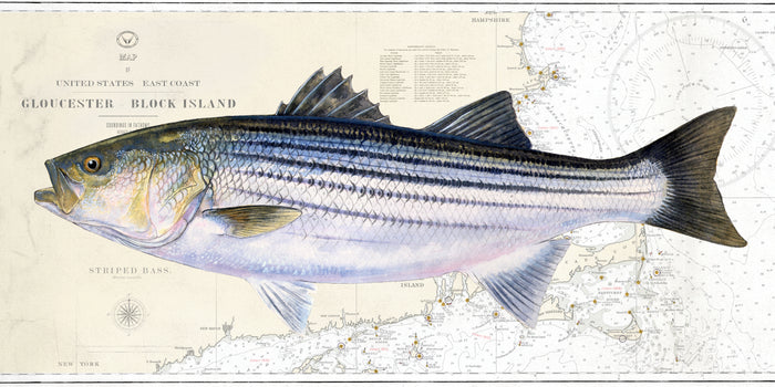 Block Island / 12x24 / Rolled