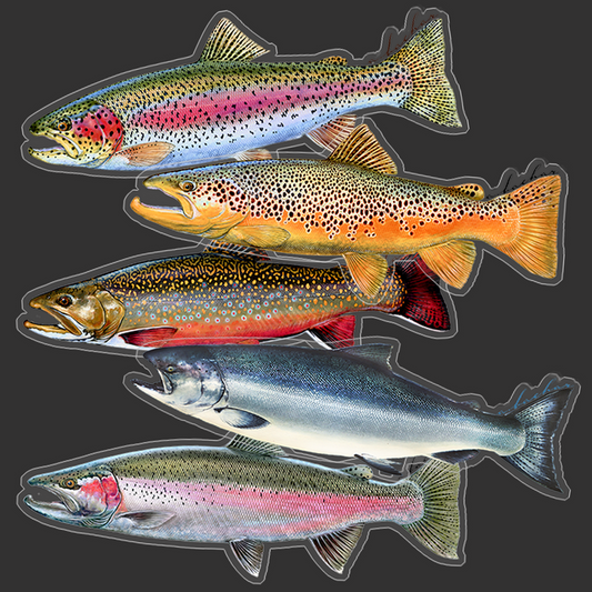Trout/Salmon sticker pack (SP)