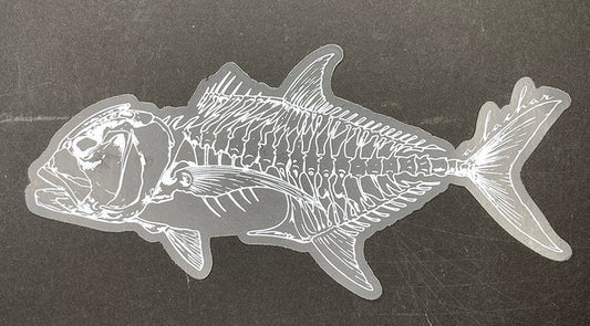 Ulua (GT) Skeleton - 8"