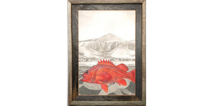 Vermilion Rockfish Over Big Sur
