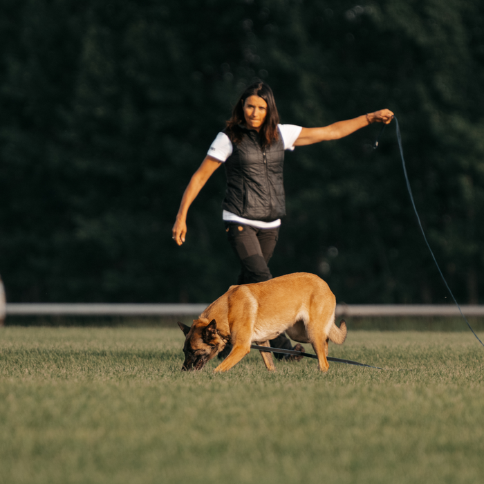 Video Coaching for Competition Sports and Pet Dog Obedience