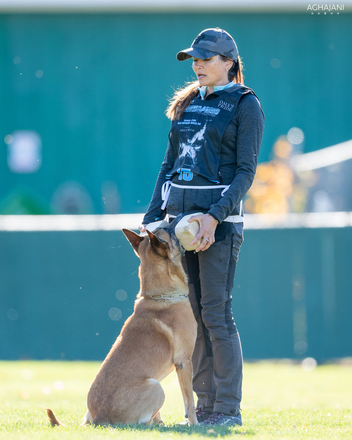 Video Coaching for Competition Sports and Pet Dog Obedience