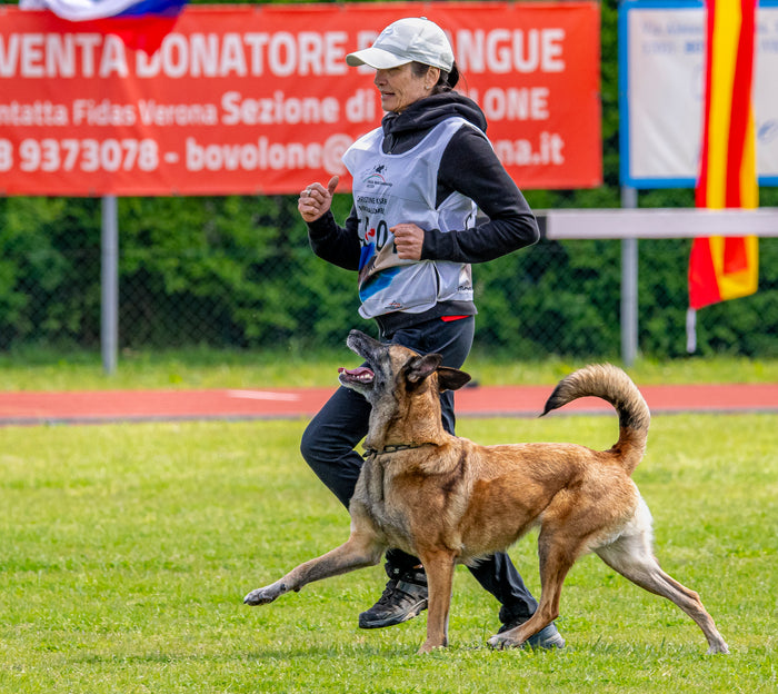 Video Coaching for Competition Sports and Pet Dog Obedience