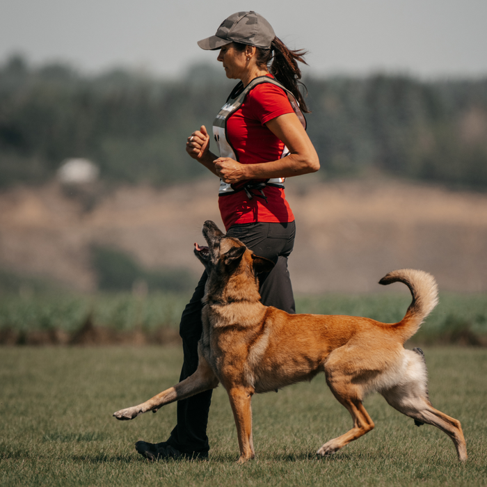 Video Coaching for Competition Sports and Pet Dog Obedience